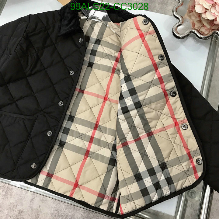 Kids Clothing-Down Jacket Code: CC3028 $: 99USD