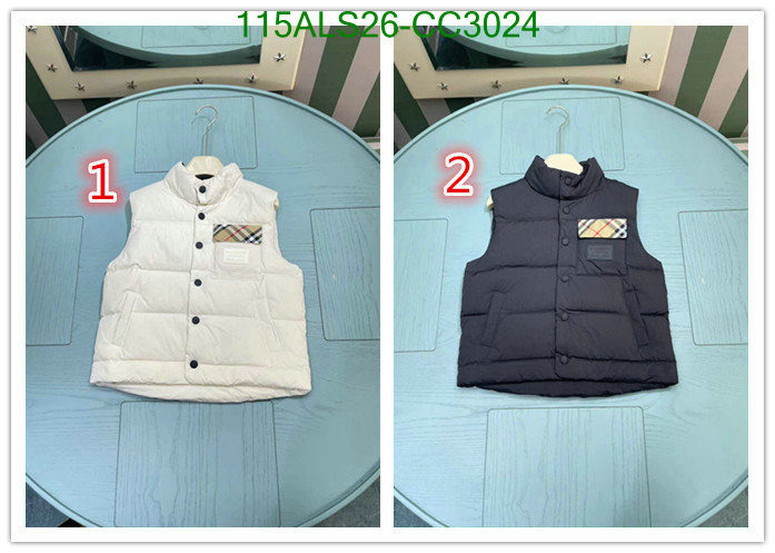 Kids Clothing-Down Jacket Code: CC3024 $: 115USD