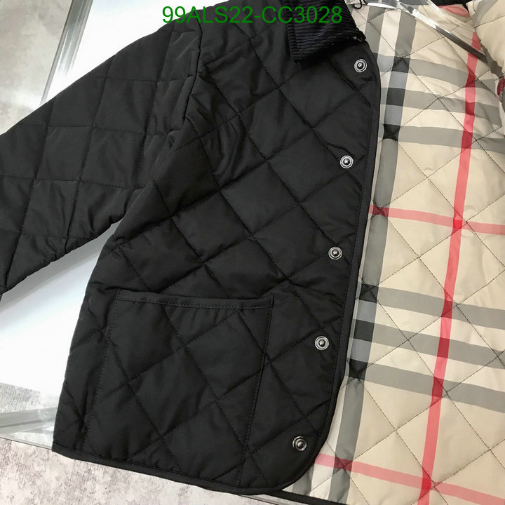 Kids Clothing-Down Jacket Code: CC3028 $: 99USD