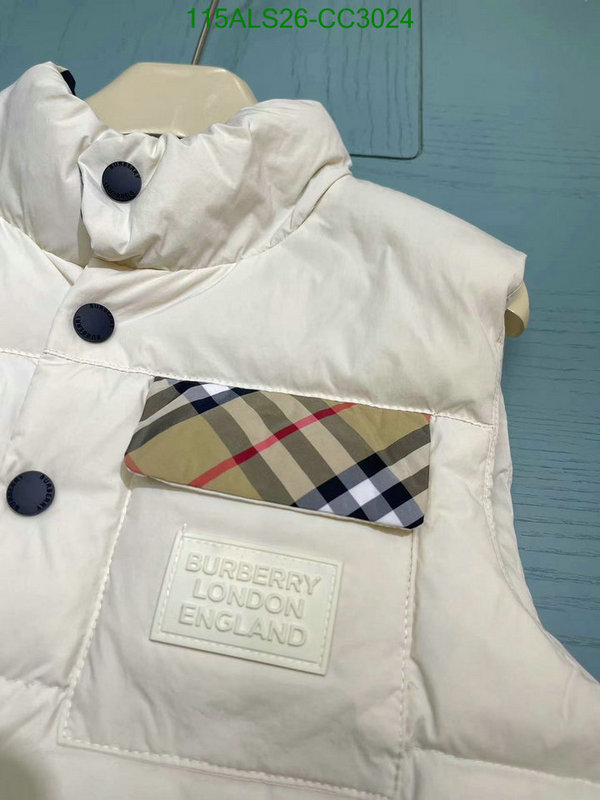 Kids Clothing-Down Jacket Code: CC3024 $: 115USD