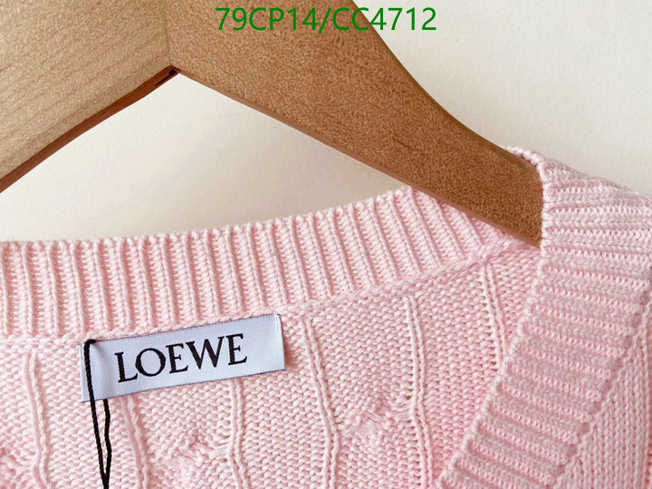 Clothing-Loewe Code: CC4712 $: 79USD