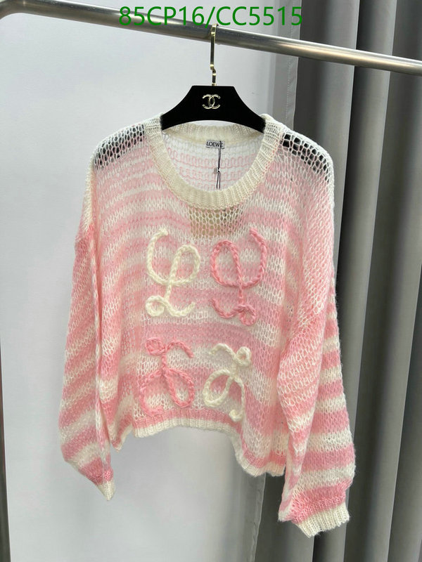 Clothing-Loewe Code: CC5515 $: 85USD