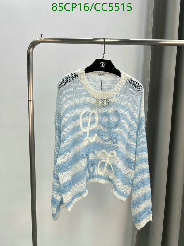 Clothing-Loewe Code: CC5515 $: 85USD