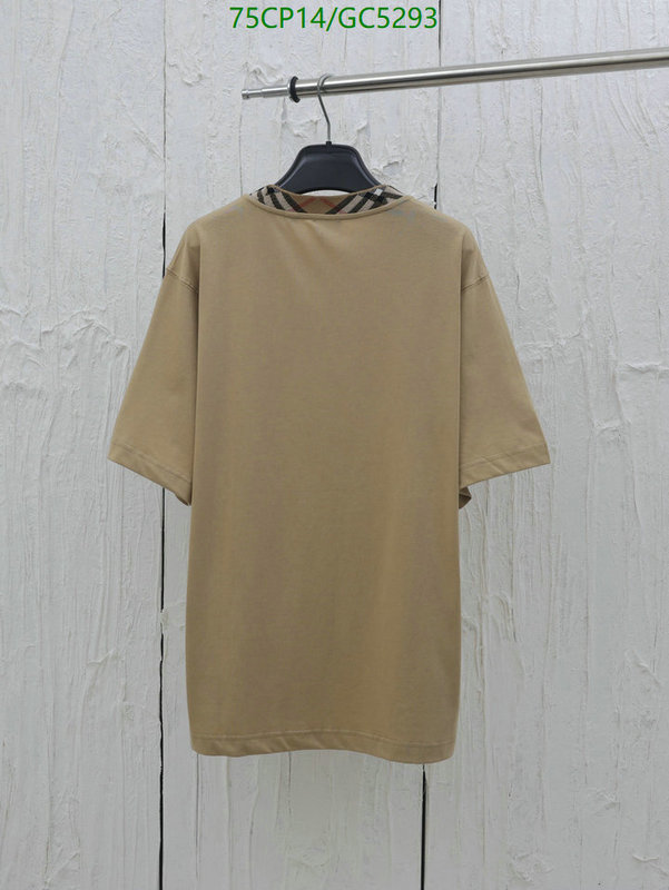 Clothing-Burberry Code: GC5293 $: 75USD