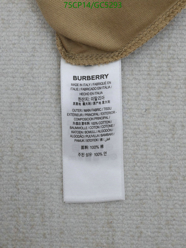 Clothing-Burberry Code: GC5293 $: 75USD
