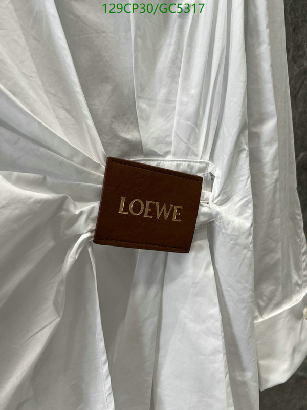 Clothing-Loewe Code: GC5317 $: 129USD
