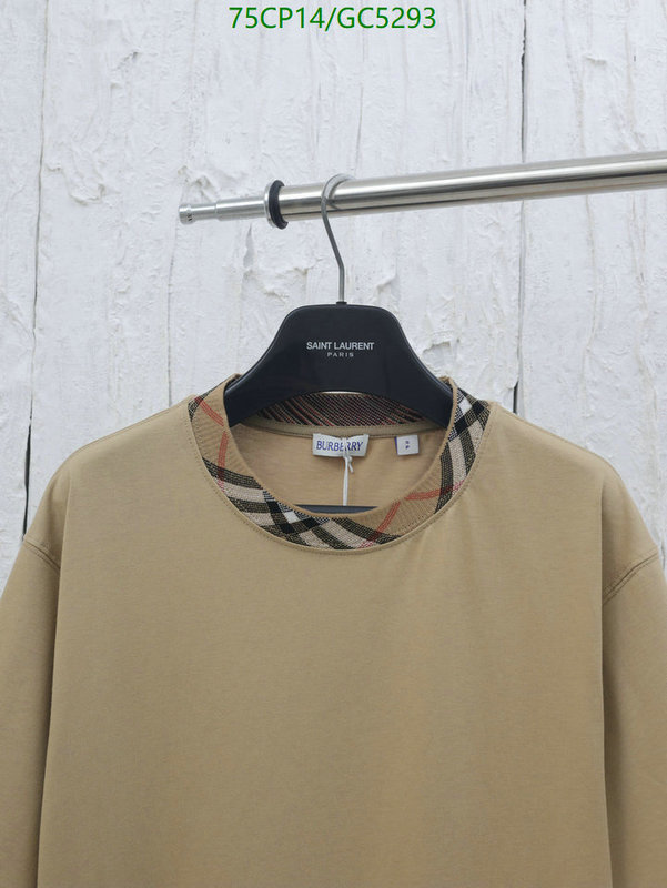 Clothing-Burberry Code: GC5293 $: 75USD
