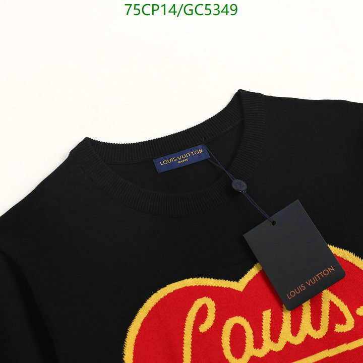 Clothing-LV Code: GC5349 $: 75USD