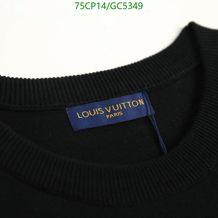 Clothing-LV Code: GC5349 $: 75USD