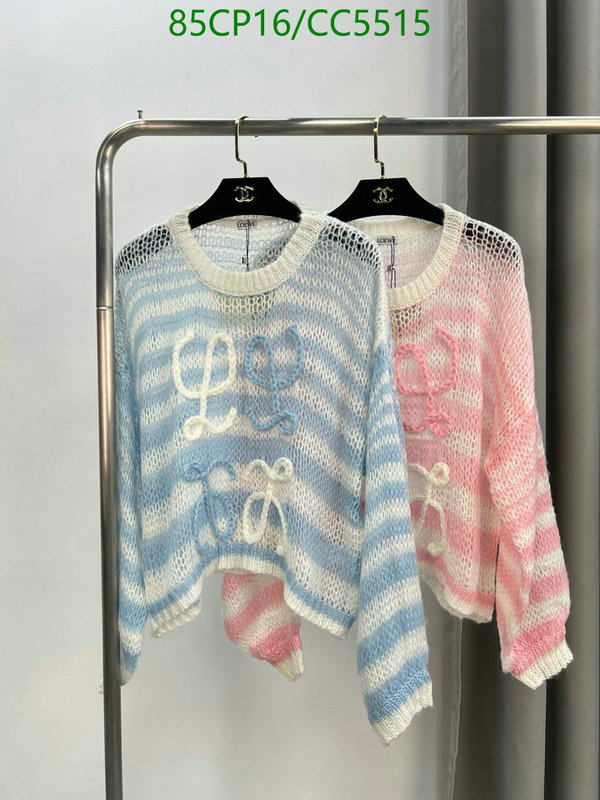 Clothing-Loewe Code: CC5515 $: 85USD