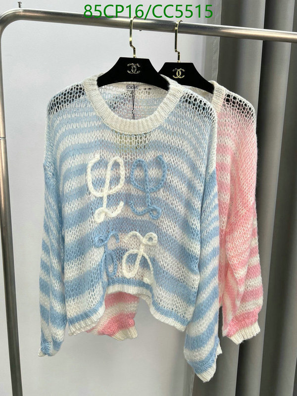 Clothing-Loewe Code: CC5515 $: 85USD