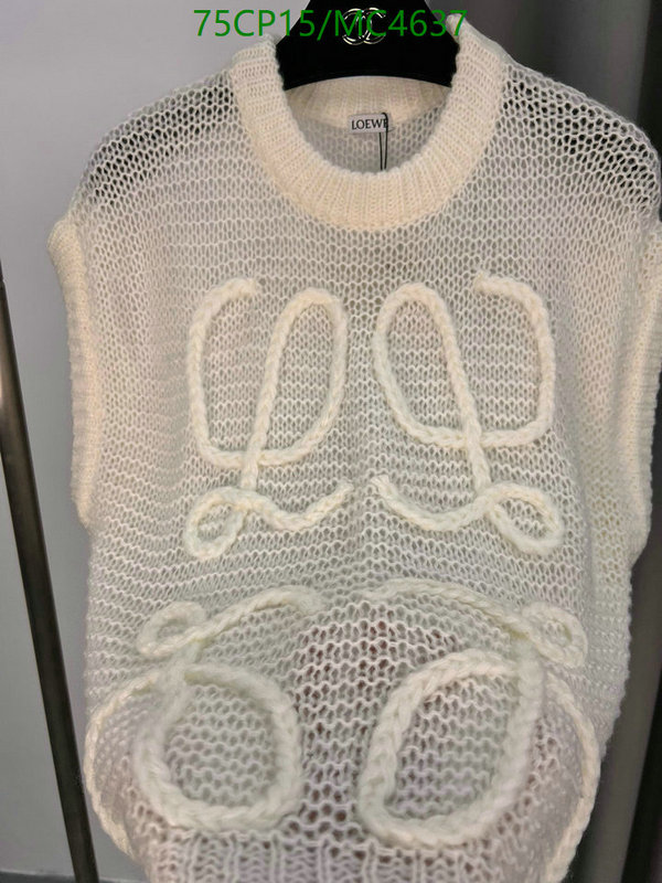 Clothing-Loewe Code: MC4637 $: 75USD