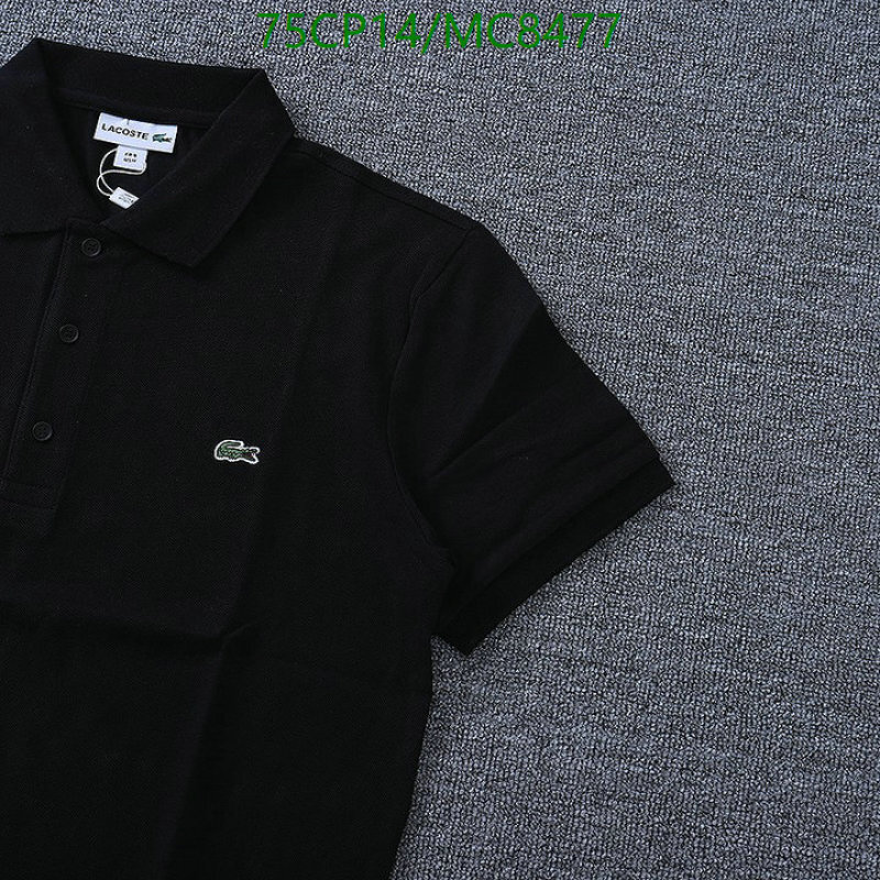 Clothing-Lacoste Code: MC8477 $: 75USD