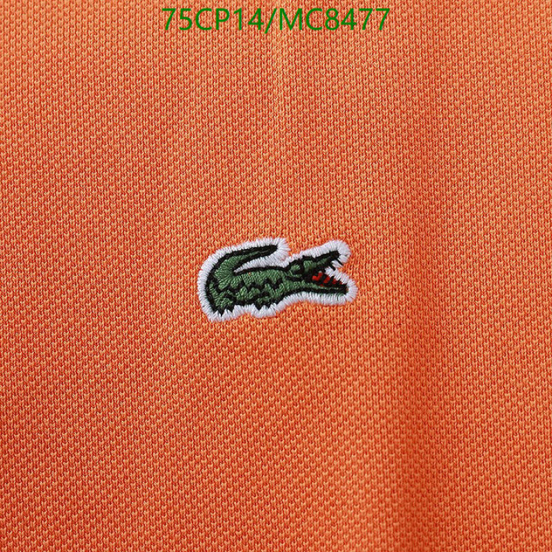 Clothing-Lacoste Code: MC8477 $: 75USD