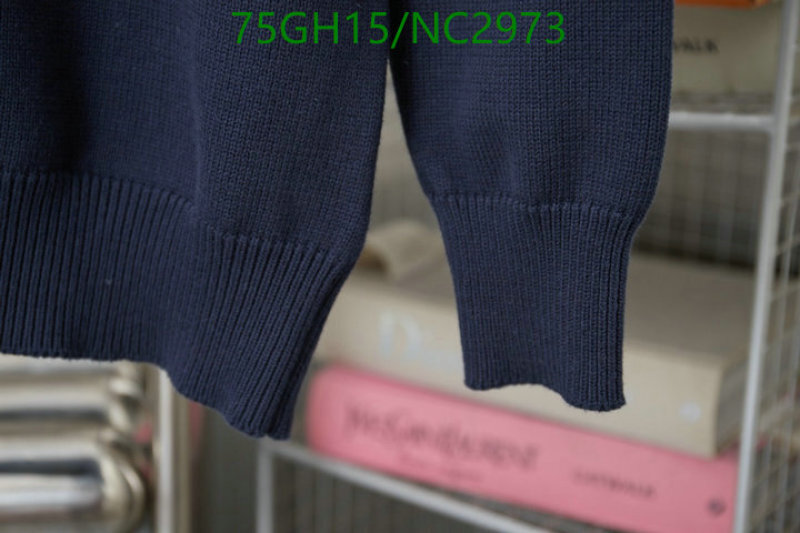Clothing-LV Code: NC2973 $: 75USD