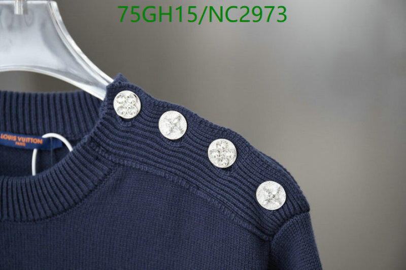 Clothing-LV Code: NC2973 $: 75USD