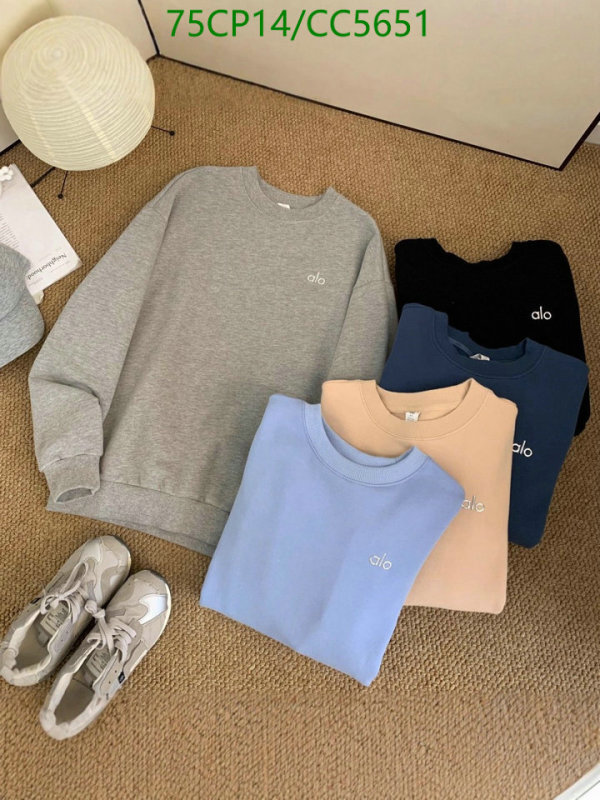 Clothing-Alo Yoga Code: CC5651 $: 75USD