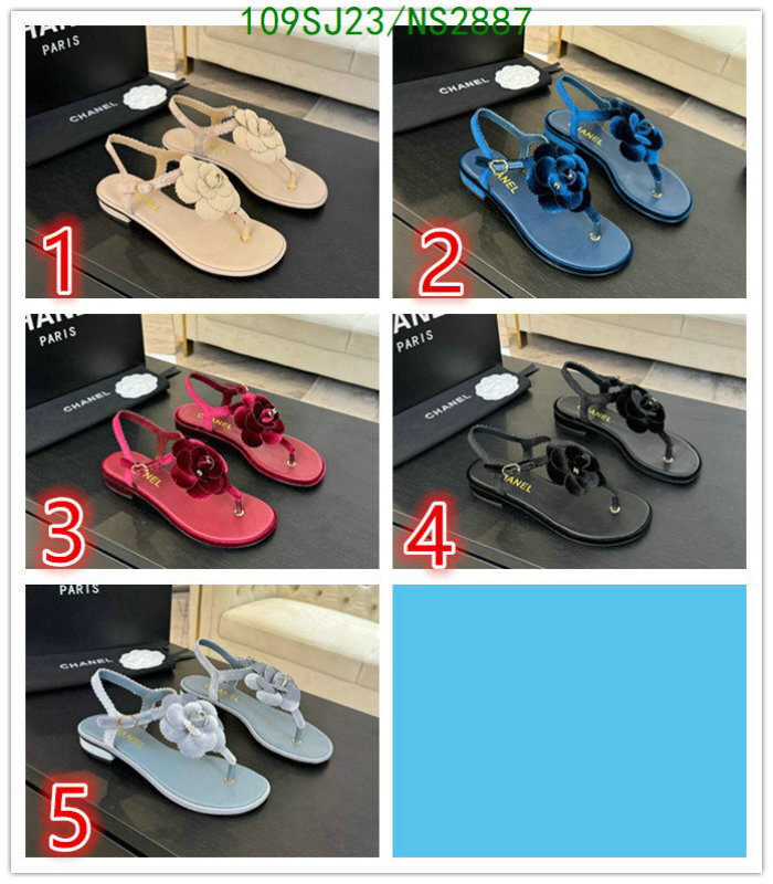 Women Shoes-Chanel Code: NS2887 $: 109USD