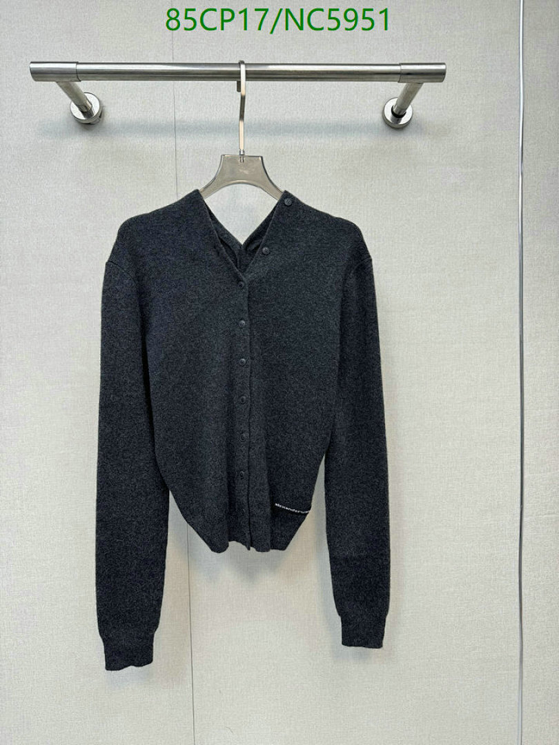 Clothing-Alexander Wang Code: NC5951 $: 85USD