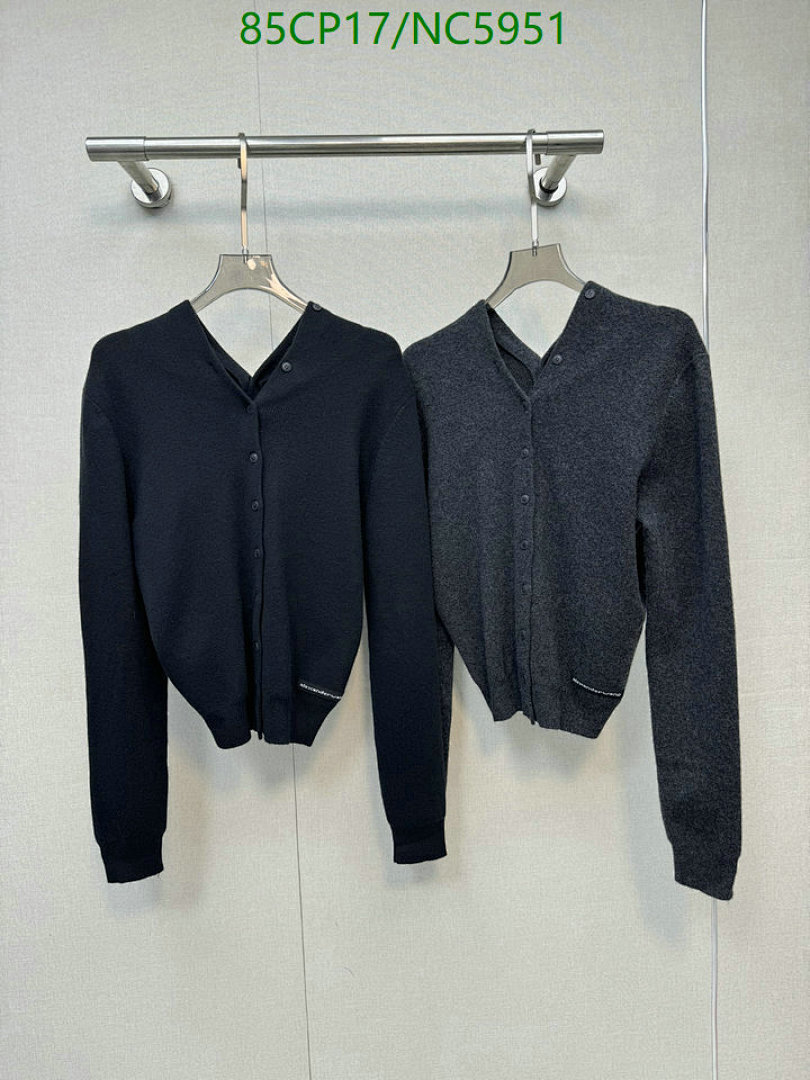 Clothing-Alexander Wang Code: NC5951 $: 85USD