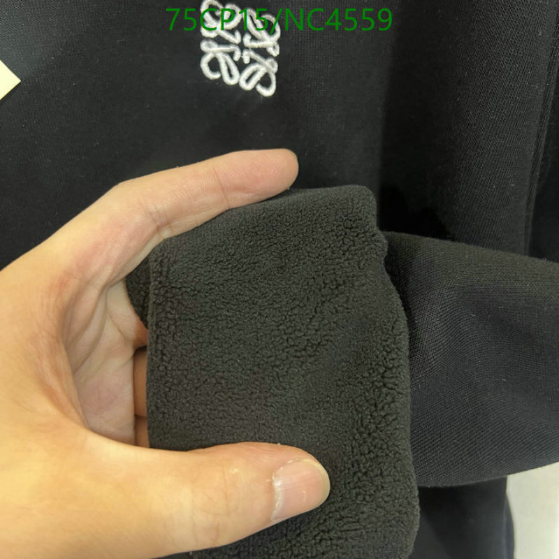 Clothing-Loewe Code: NC4559 $: 75USD