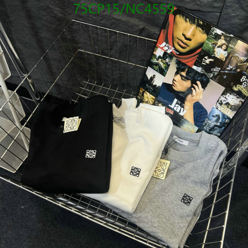 Clothing-Loewe Code: NC4559 $: 75USD