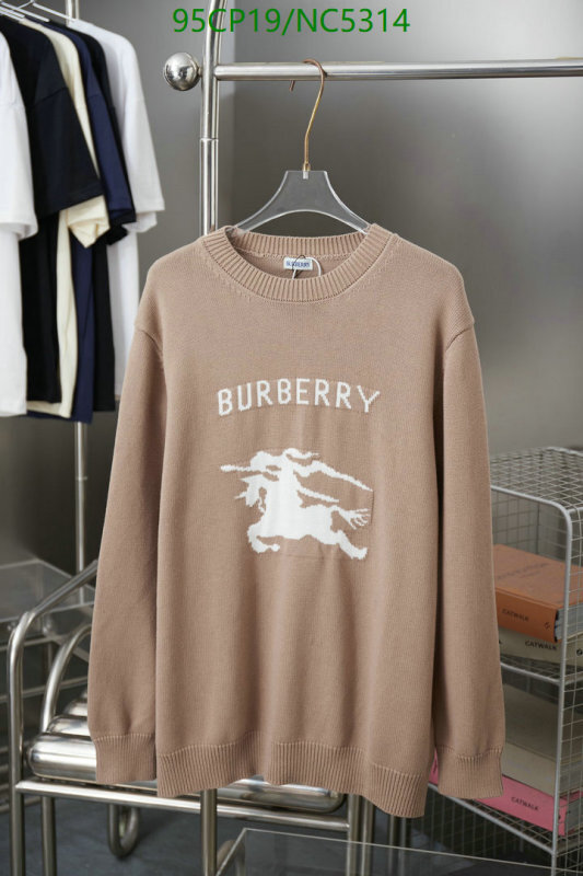 Clothing-Burberry Code: NC5314 $: 95USD