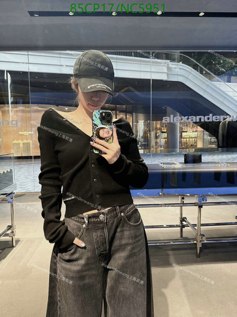 Clothing-Alexander Wang Code: NC5951 $: 85USD