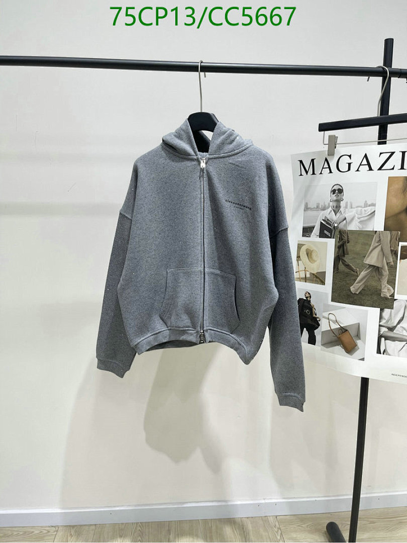 Clothing-Alexander Wang Code: CC5667 $: 75USD