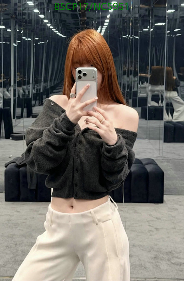 Clothing-Alexander Wang Code: NC5951 $: 85USD