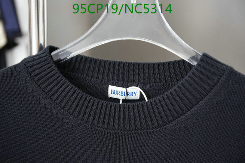 Clothing-Burberry Code: NC5314 $: 95USD