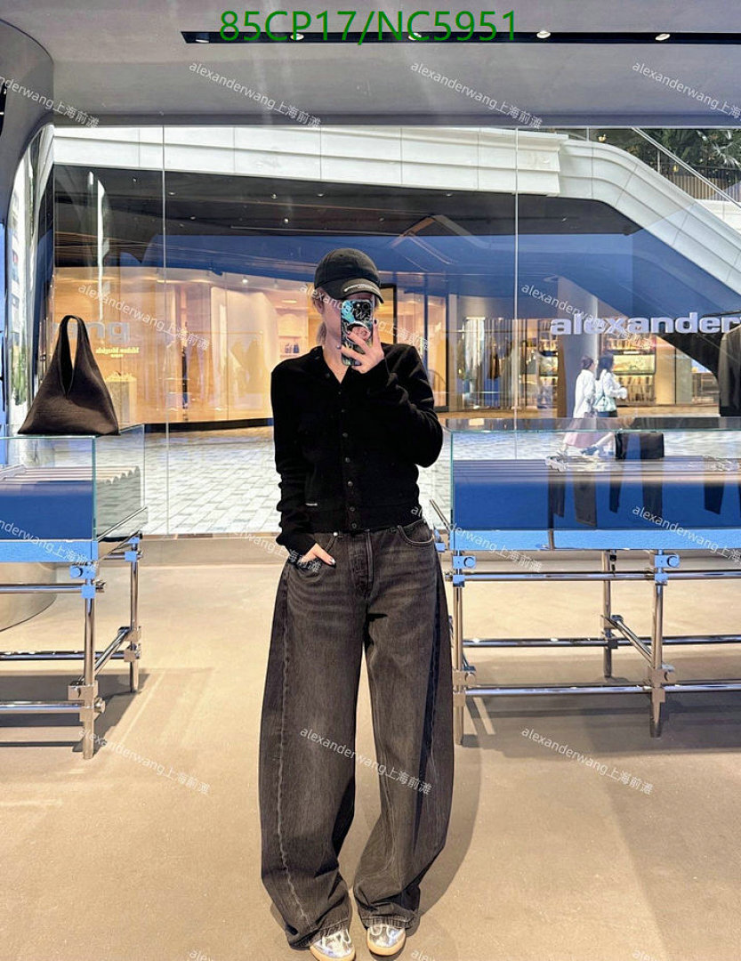 Clothing-Alexander Wang Code: NC5951 $: 85USD