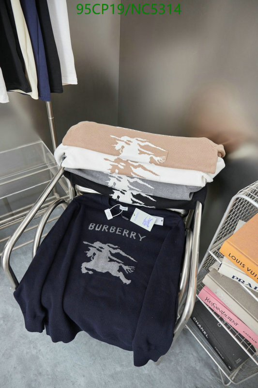 Clothing-Burberry Code: NC5314 $: 95USD