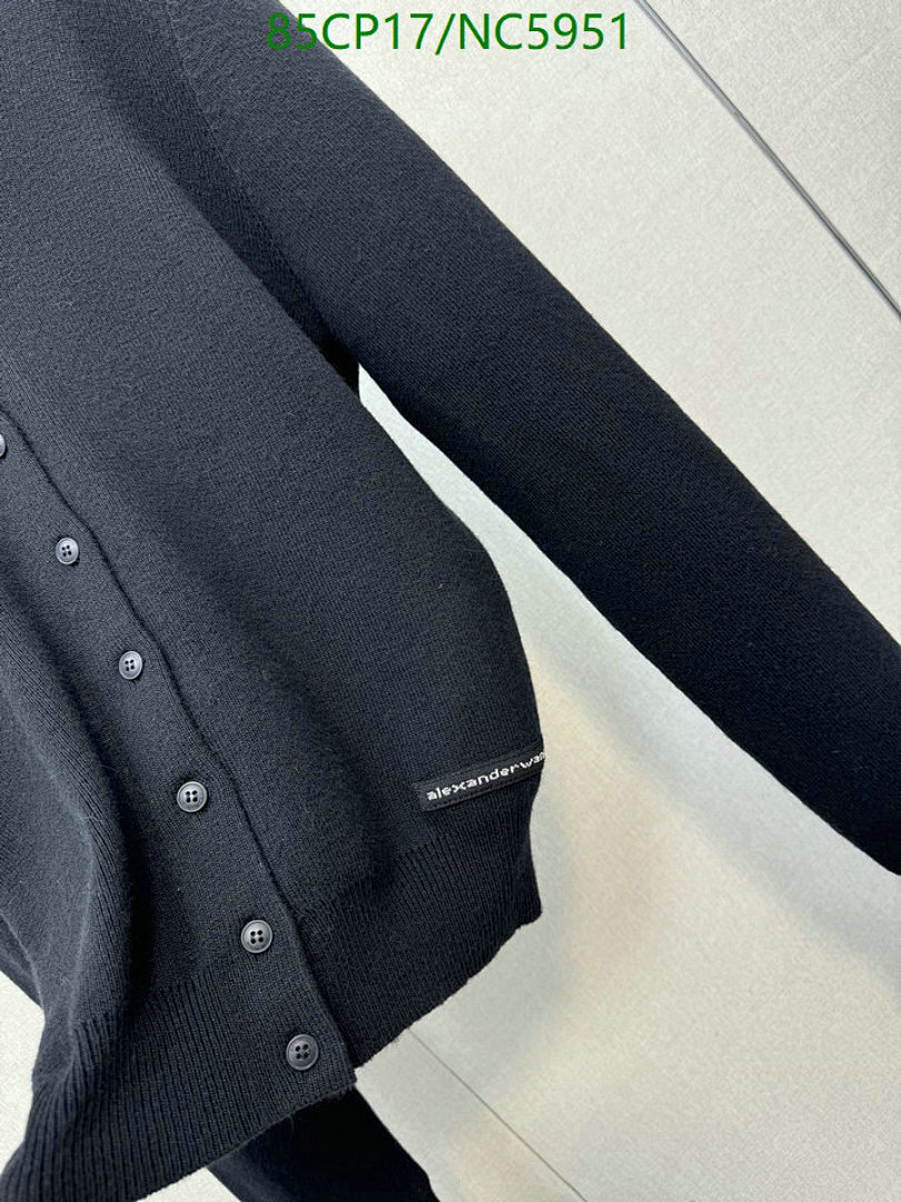 Clothing-Alexander Wang Code: NC5951 $: 85USD