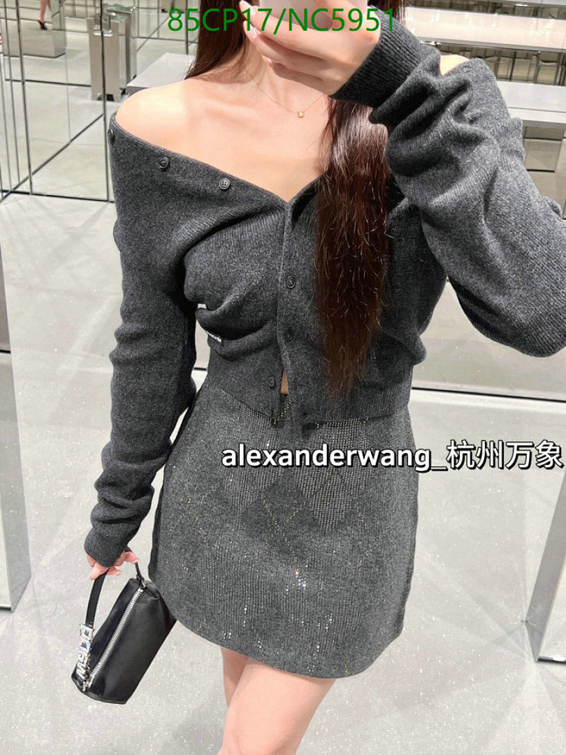 Clothing-Alexander Wang Code: NC5951 $: 85USD