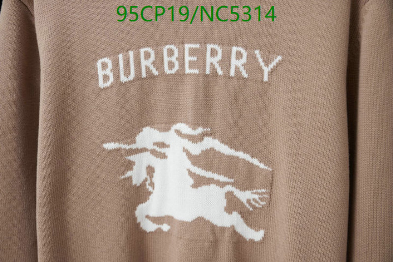Clothing-Burberry Code: NC5314 $: 95USD