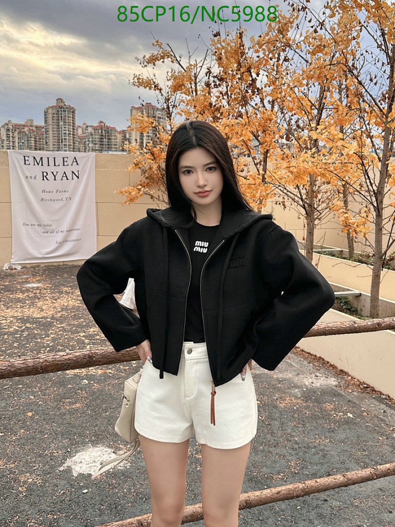 Clothing-MIUMIU Code: NC5988 $: 85USD