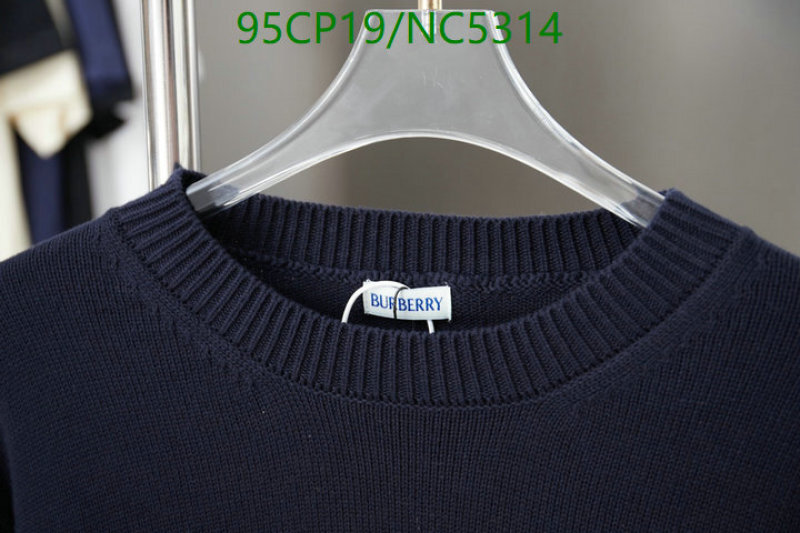 Clothing-Burberry Code: NC5314 $: 95USD