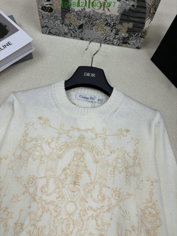 Clothing-Dior Code: NC4977 $: 100USD