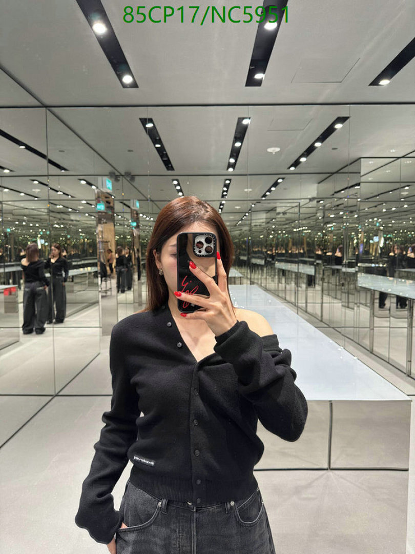 Clothing-Alexander Wang Code: NC5951 $: 85USD