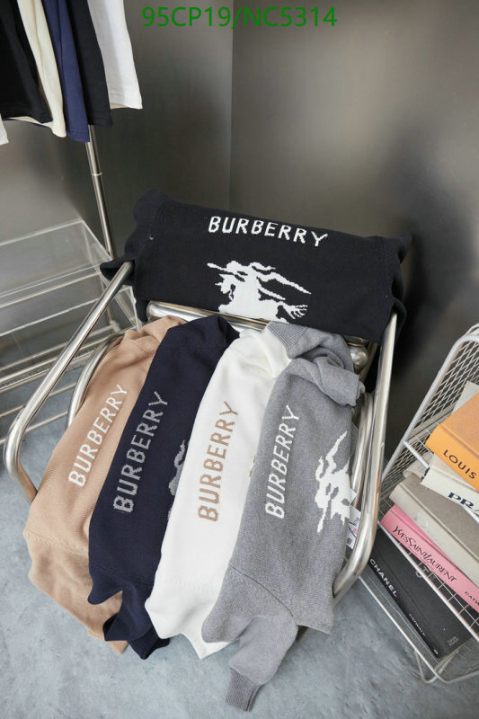 Clothing-Burberry Code: NC5314 $: 95USD