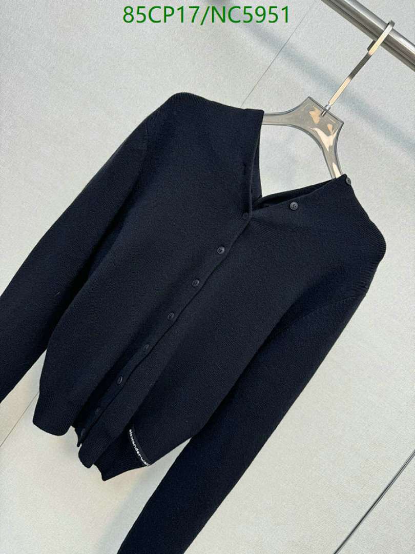 Clothing-Alexander Wang Code: NC5951 $: 85USD