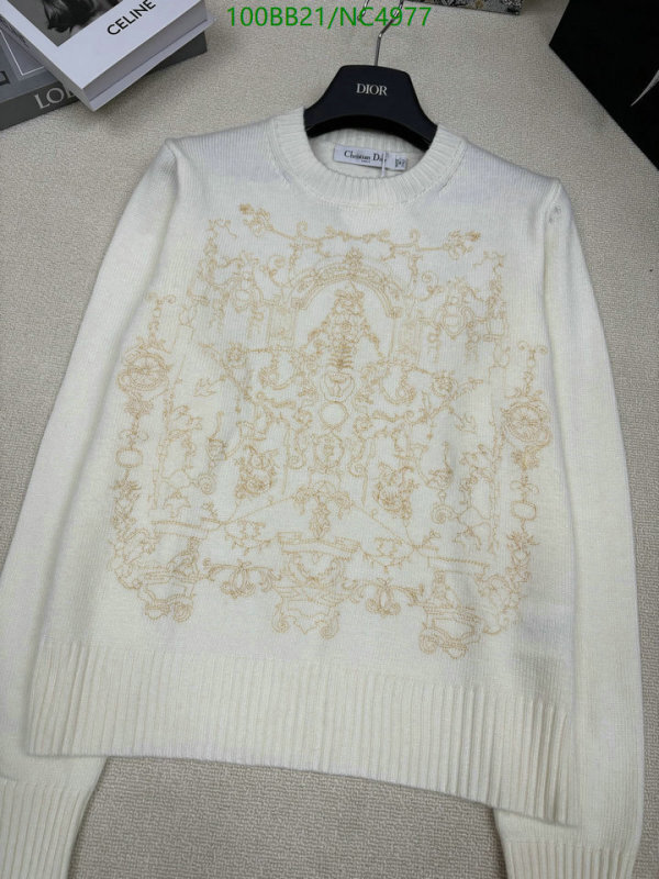 Clothing-Dior Code: NC4977 $: 100USD