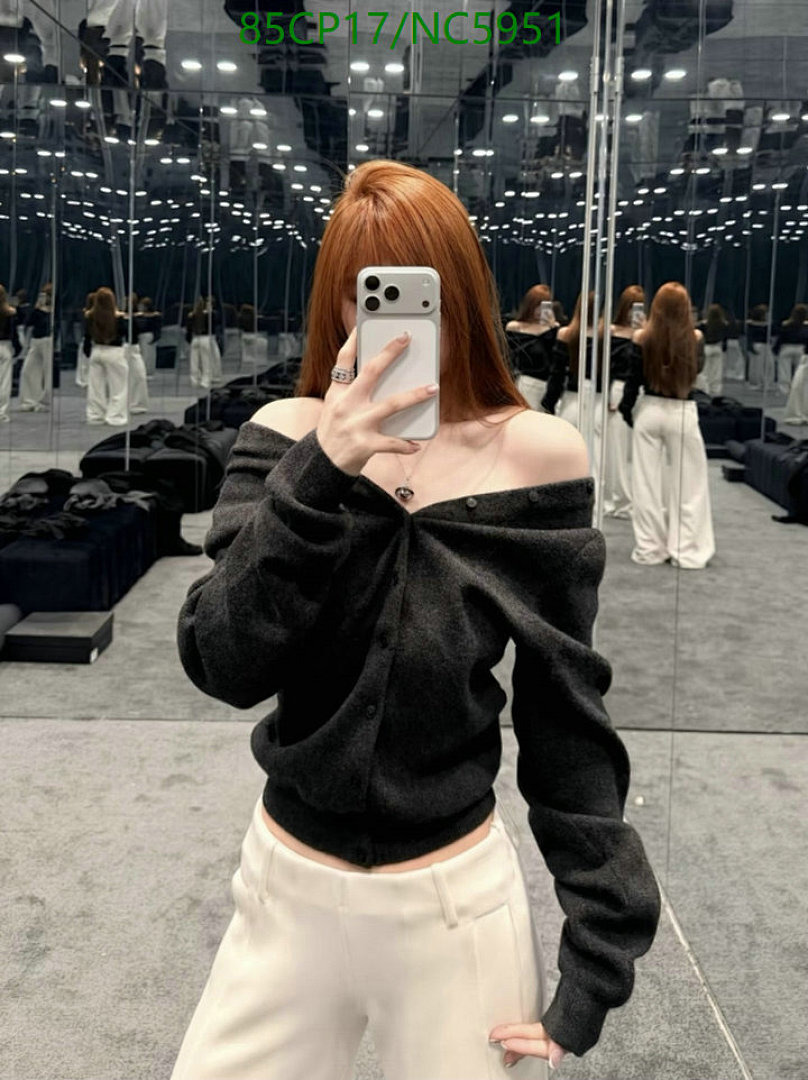 Clothing-Alexander Wang Code: NC5951 $: 85USD