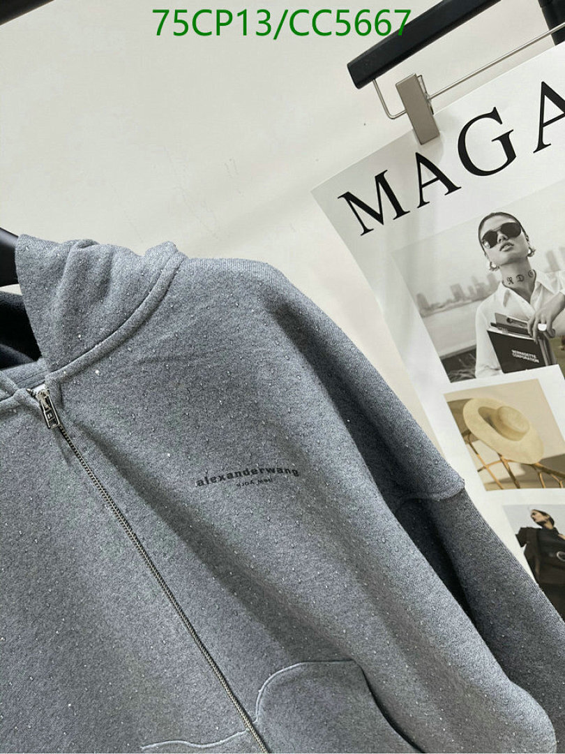 Clothing-Alexander Wang Code: CC5667 $: 75USD