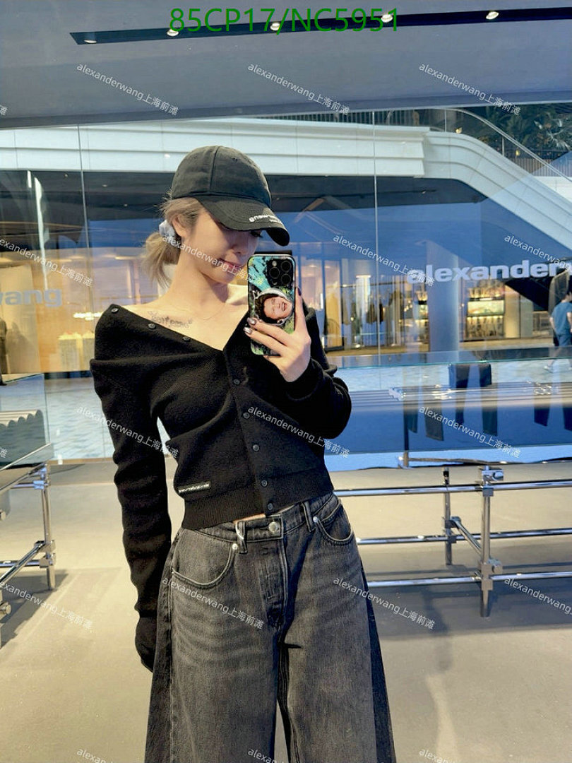 Clothing-Alexander Wang Code: NC5951 $: 85USD