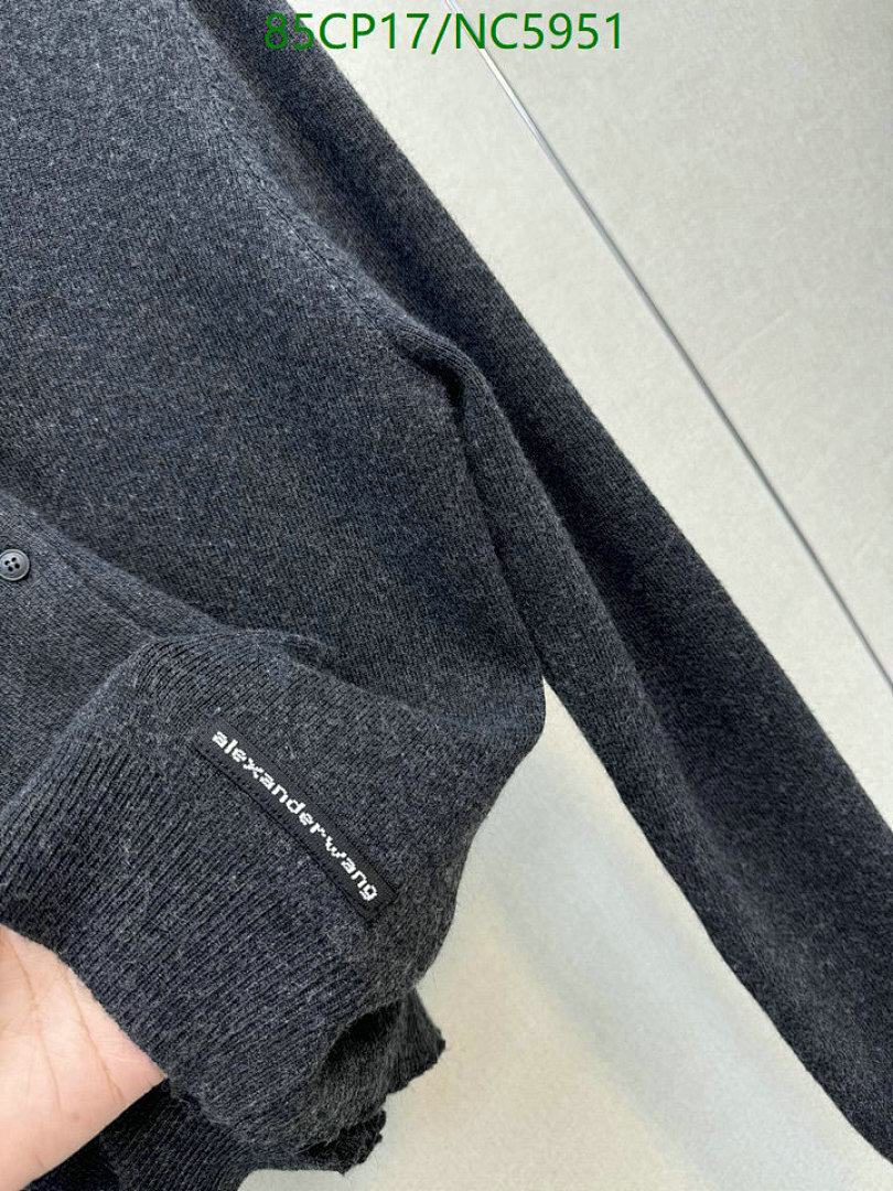 Clothing-Alexander Wang Code: NC5951 $: 85USD