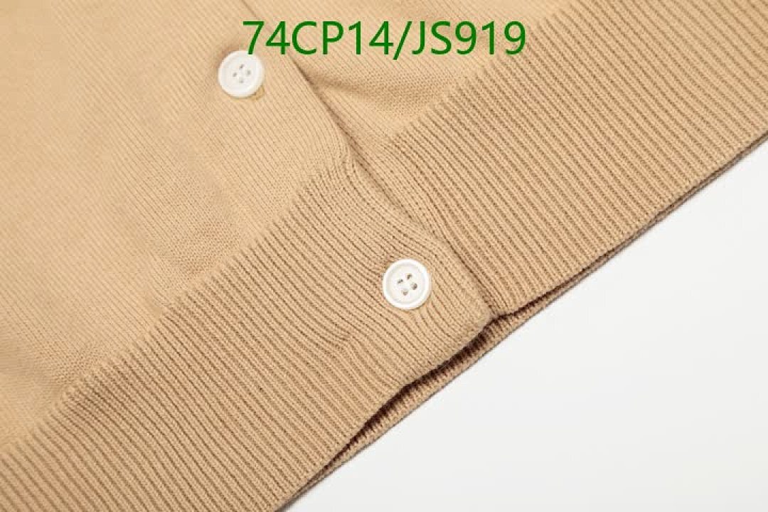 Clothing-Ralph Lauren Code: JS919 $: 74USD