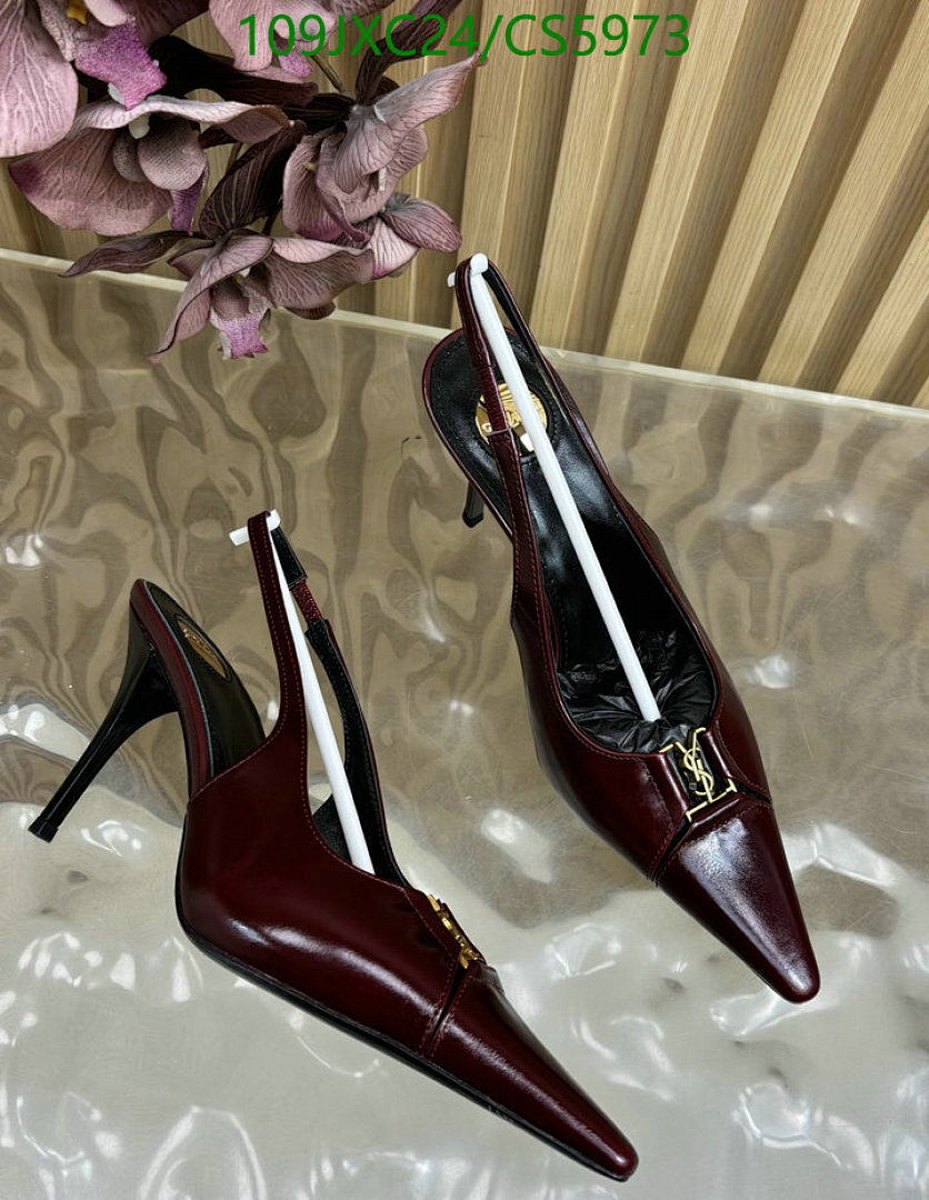 Women Shoes-YSL Code: CS5973 $: 109USD