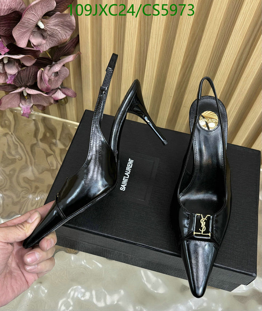 Women Shoes-YSL Code: CS5973 $: 109USD